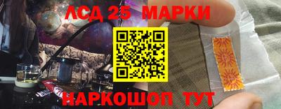 прущие грибы Новодвинск
