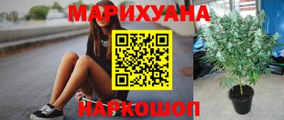 дживик Новокубанск