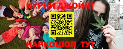 прущие грибы Новодвинск