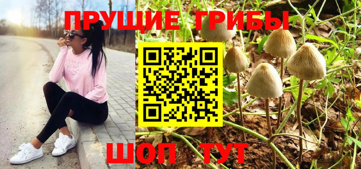 Реж  Галлюциногенные грибы Psilocybine cubensis  Вход с VPN 